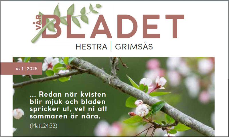 Programblad