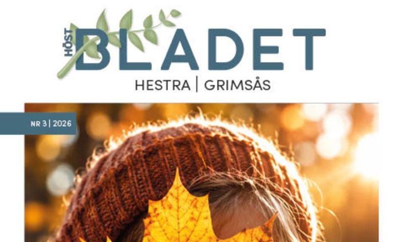 Programblad