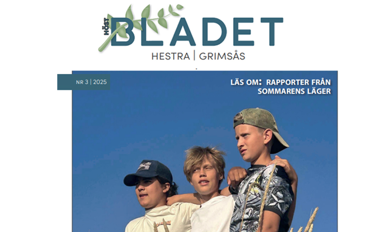 Programblad